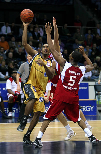 熟的新秀 熟的新秀